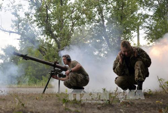 Nga, Đức kêu gọi ngừng bắn ở miền Đông Ukraine ảnh 1